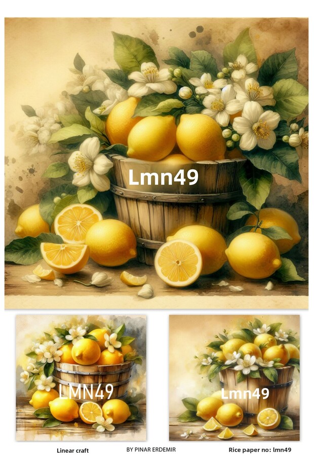 ورق تزيين نحاسي من سلسلة الليمون بنمط الليمون 29 × 42 سم رقم: LMN49