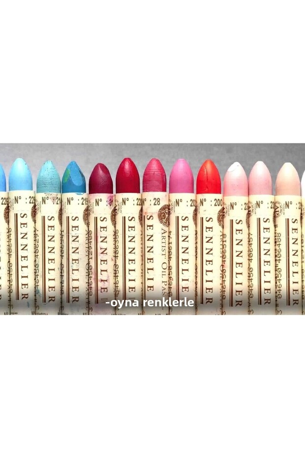 Oil Pastel Paint Set 12 Special Shades