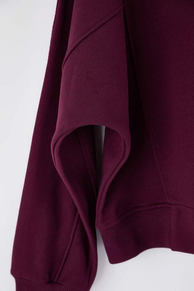 Mürdüm Oversize/Geniş Kalıp Dik Yaka Kalın İçi Polarlı Örme Sweatshirt TWOAW26SW00205 - 6