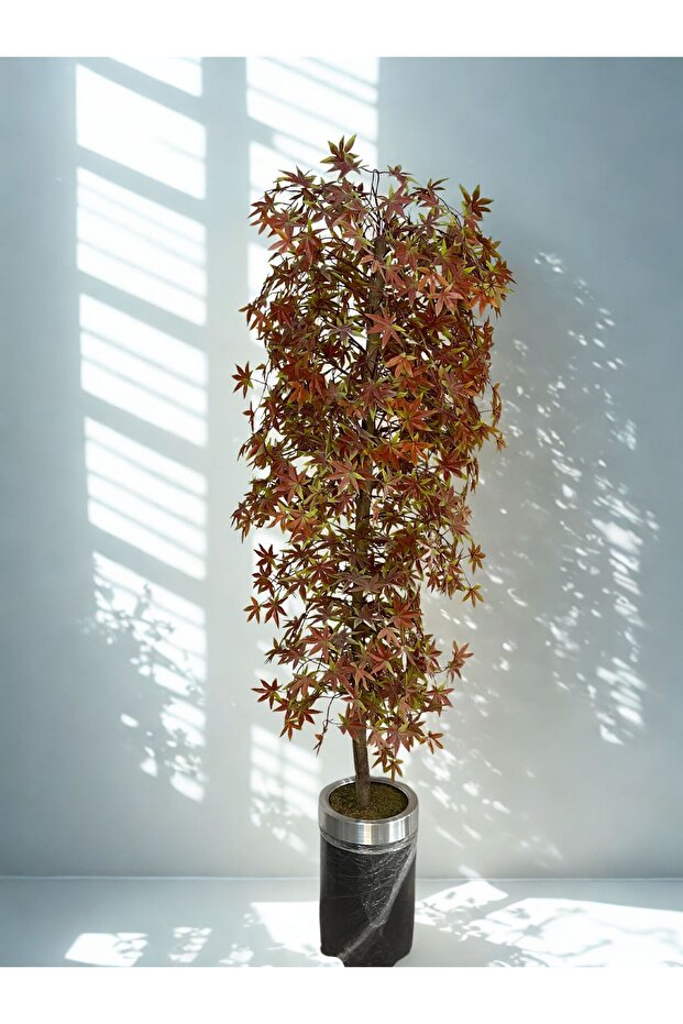 KIZIL ÇINAR - 3