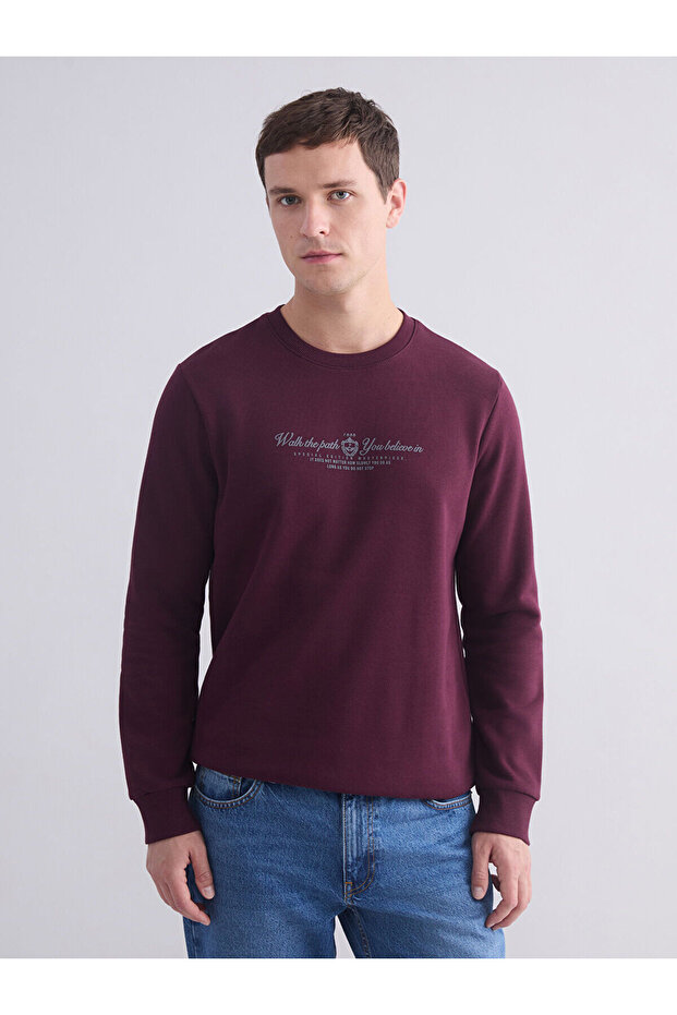 Crew neck printed men's sweatshirt
