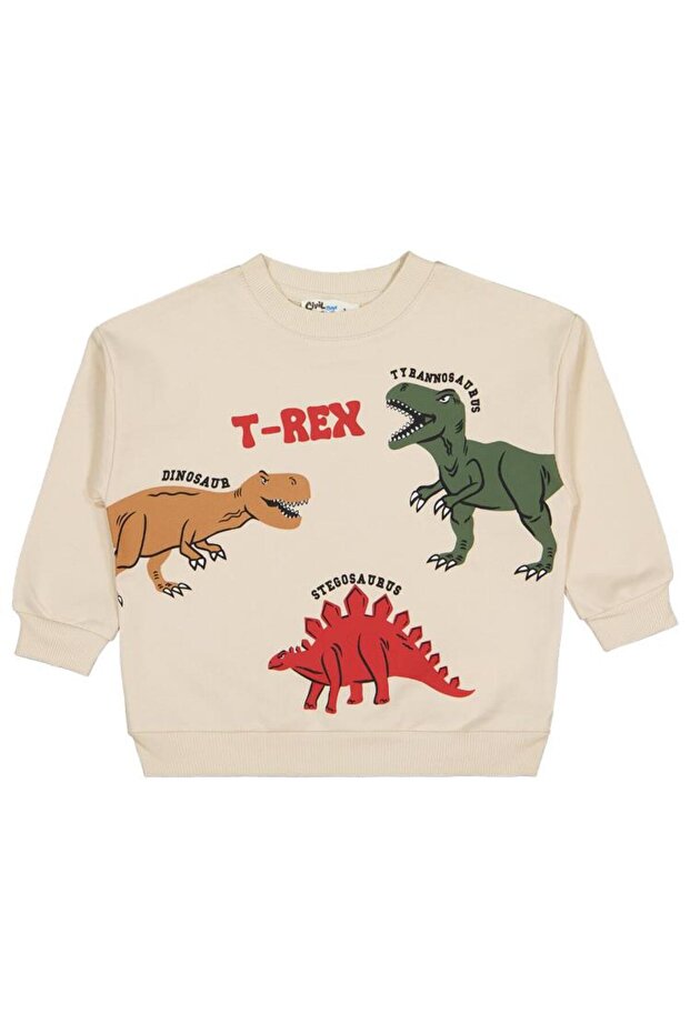 Trex Printed 2-5 Years Old Sweatshirt - Beige 2-3 Years Old