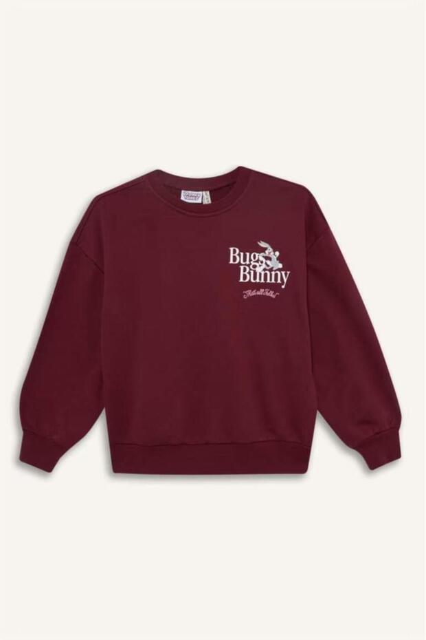 Girl's Sweat F3199A8/Br115