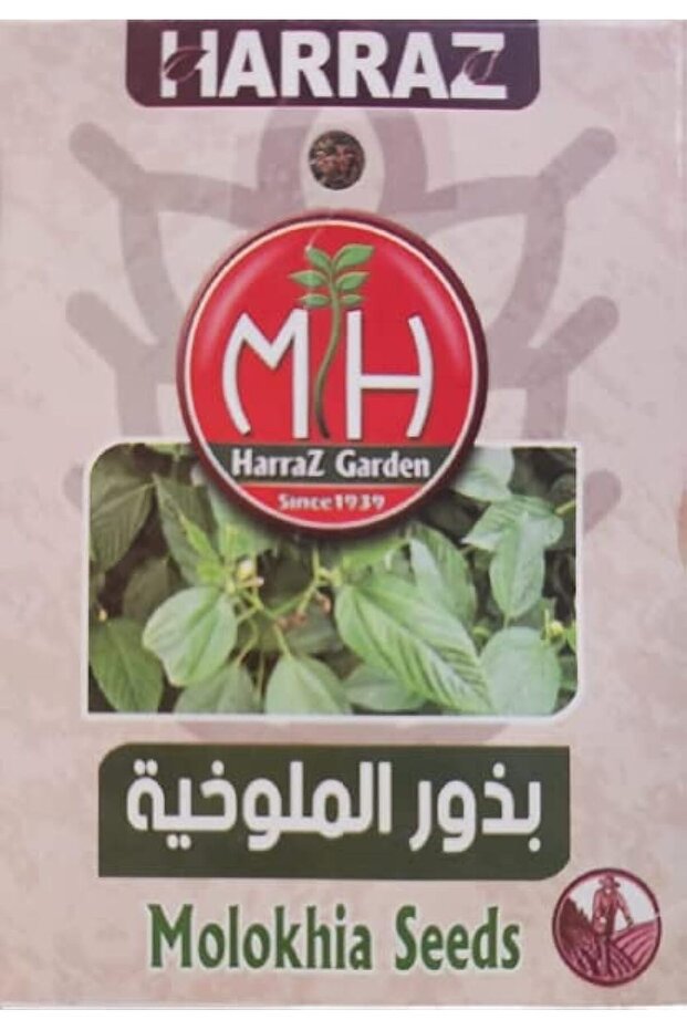 Molokhia Seeds (Generic) - 1