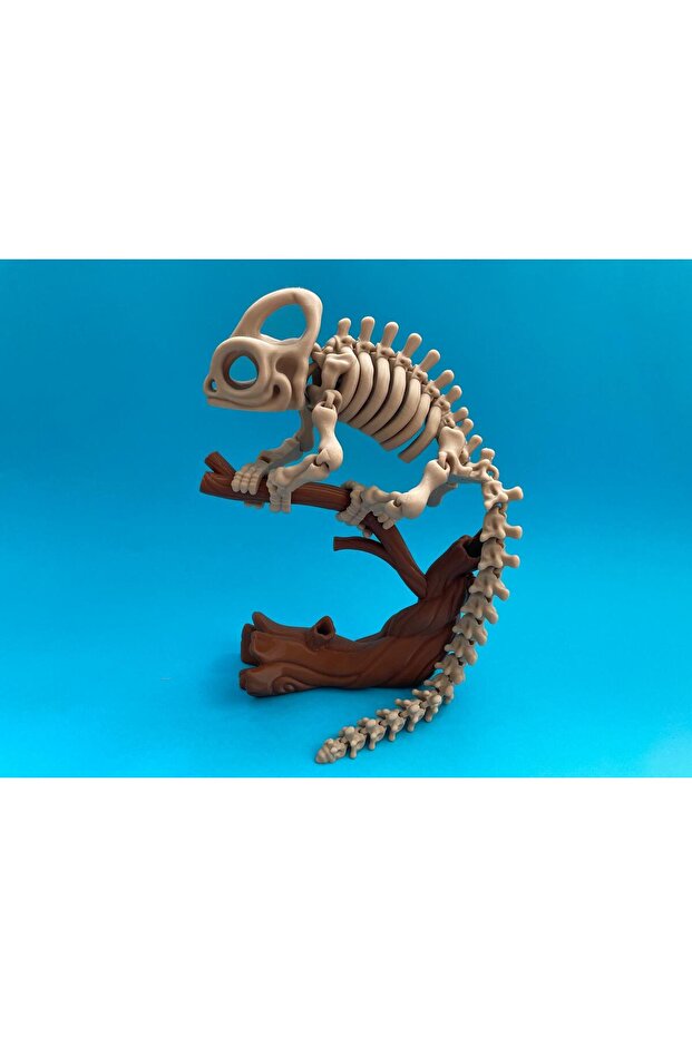 Hareketli Chameleon İskelet Dekor Bukalemun - 2