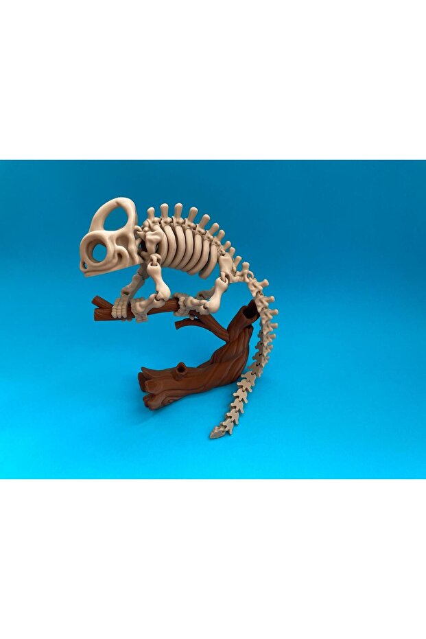 Hareketli Chameleon İskelet Dekor Bukalemun - 3