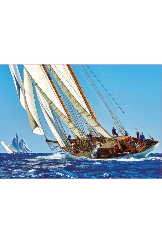 1000 Velero - 2