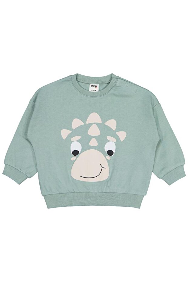 Dinosaur Printed 6-18 Months Sweatshirt - Green