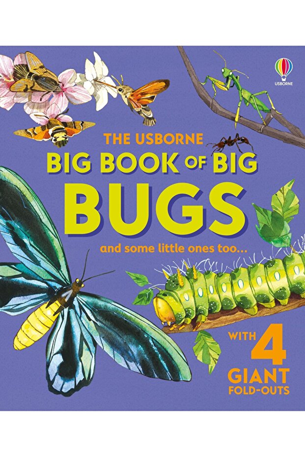 Big Book of Big Bugs
