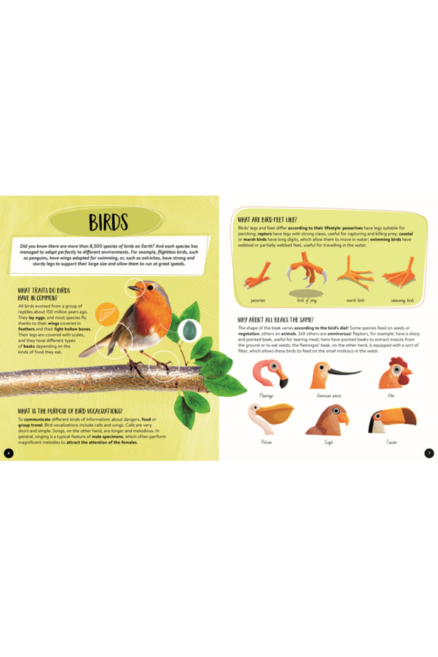 Mega Atlas - Animale, SASSI, 6 ani+ - 4