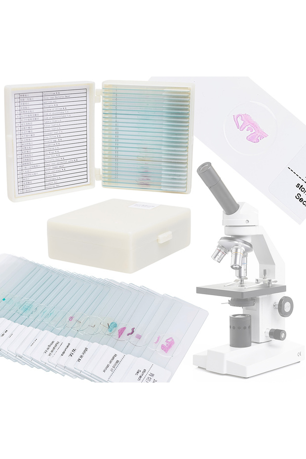 Set de 25 de mostre de microscop