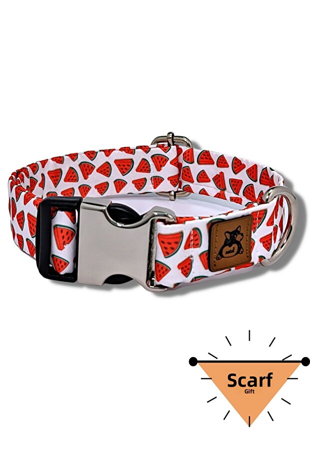Watermelon Dog Collar - 1