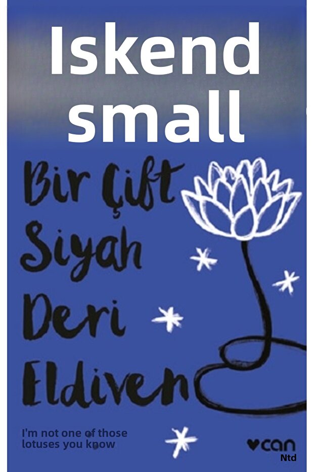Bir Çift Siyah Deri Eldiven