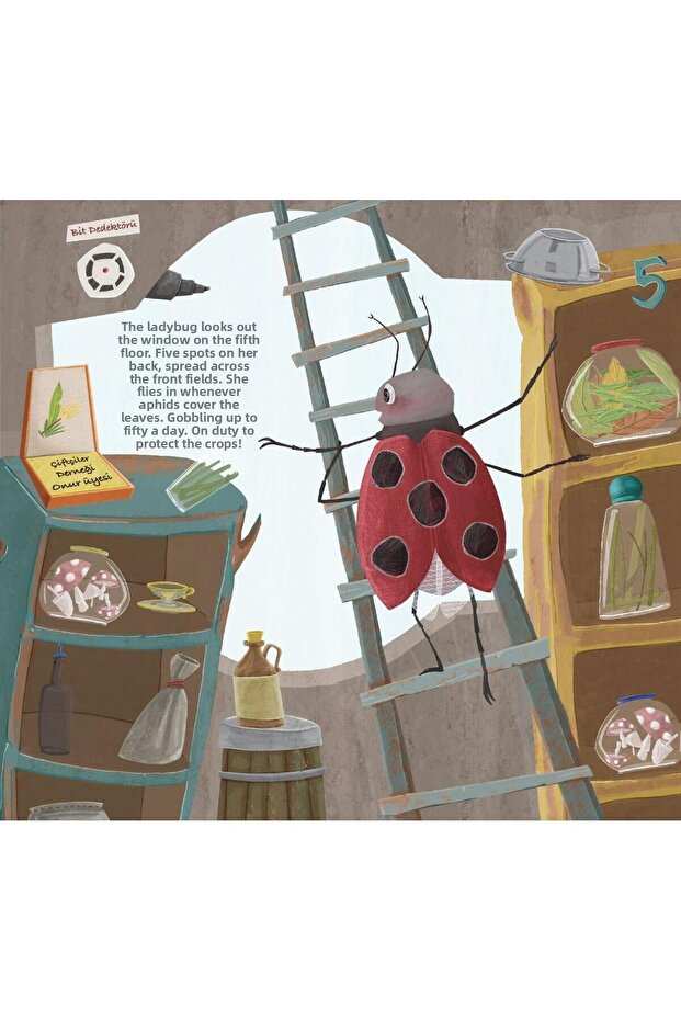 Insect Elevator - 4