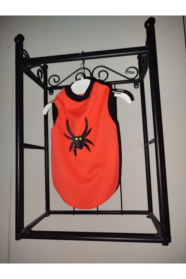 Cat & Dog Clothing 🎃 Witch& Halloween Costume