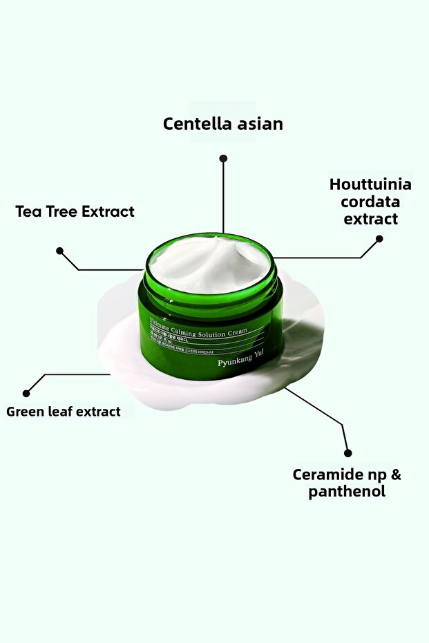 Pyunkang yul Ultimate Calming Solution Cream 30 ml - Καταπραϋντική και καταπραϋντική κρέμα προσώπου - 3