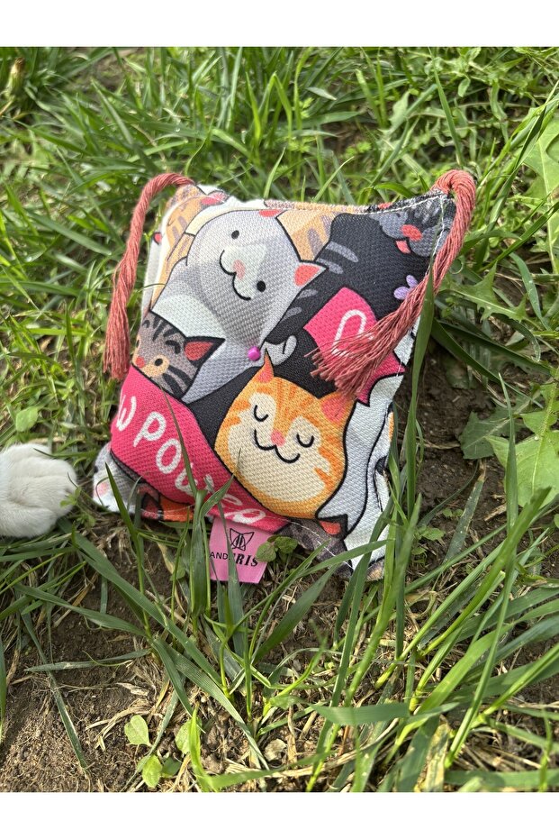 Catnip Pillow 12X12 cm (Catnip Pillow)-Cat Play Pillow - 3