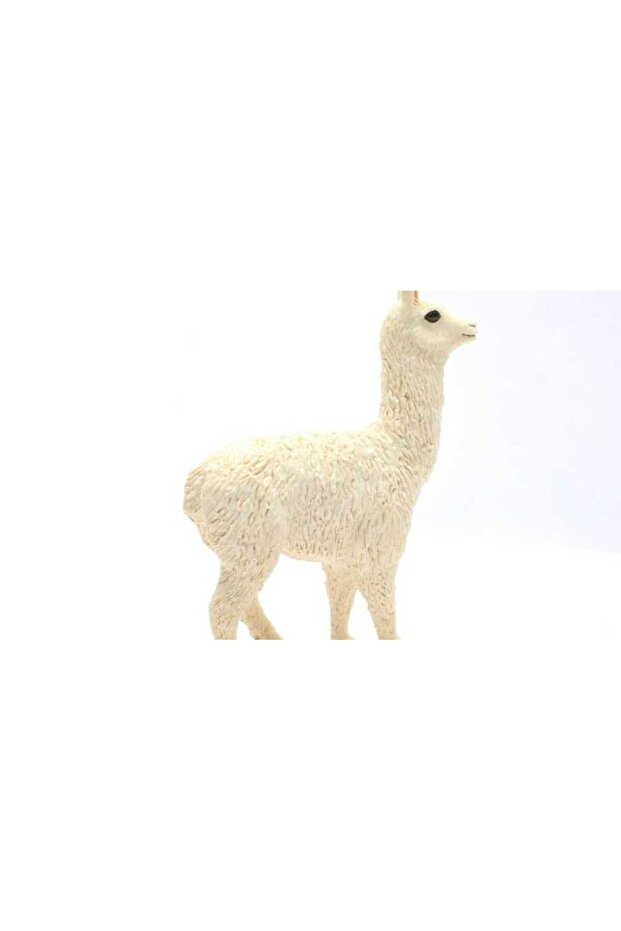 Lama 13920 - 2