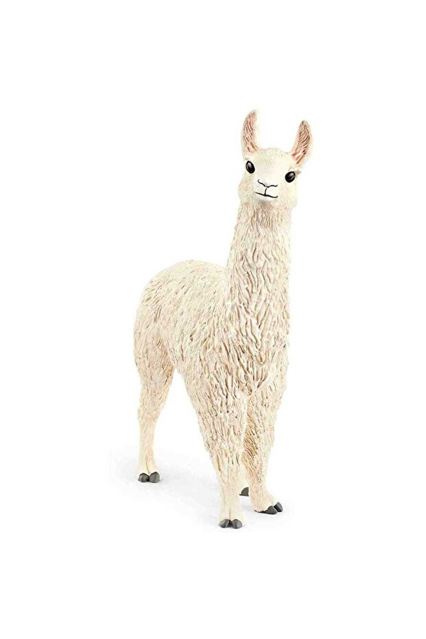 Lama 13920 - 1