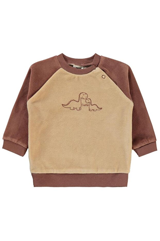 Dinosaur Printed 6-18 Months Sweatshirt - Brown