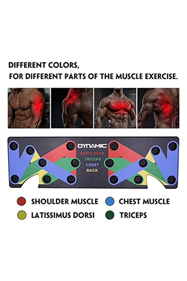 Push Ab Board – Çok Fonksiyonlu Core & Push‑Up Egzersiz Tahtası - 3