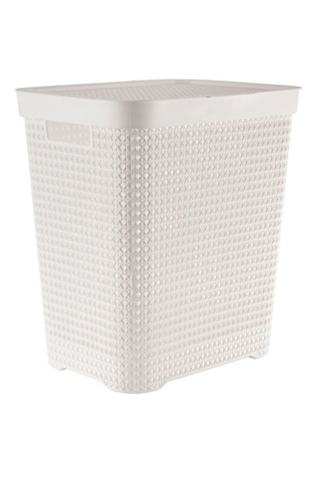 Plastic Laundry Basket with Lid, Multi-Purpose - White