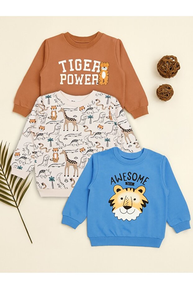 Safari Printed Set of 3 Sweatshirts for Ages 2-5 - Standard 2-3 Years