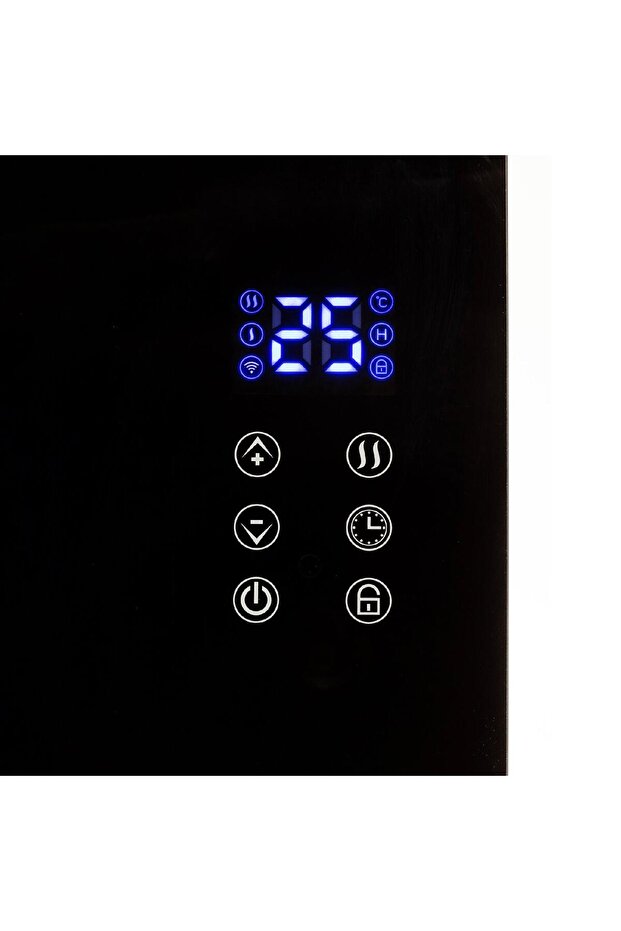 Radiator inteligent - 4