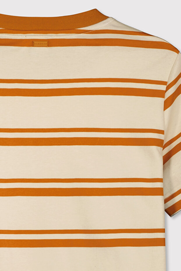 Çizgili Regular Basic Tshirt - 7