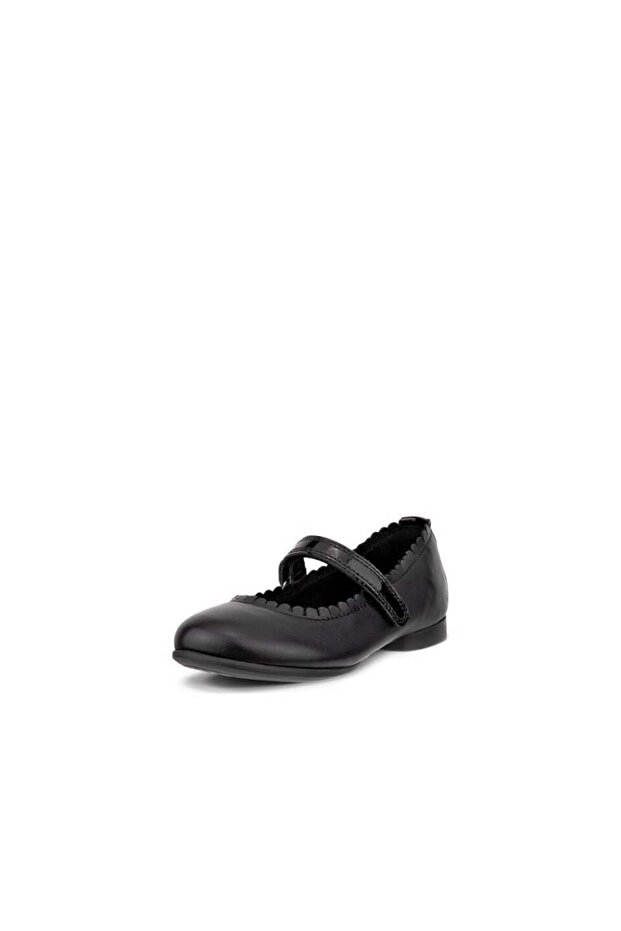 Anine K Black