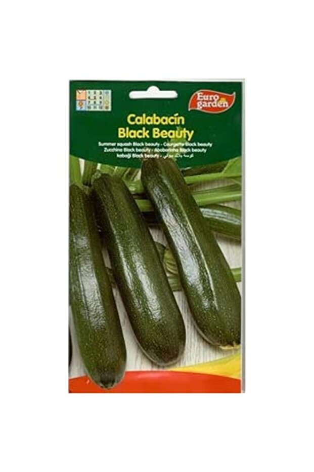 Euro Garden Summer Squash