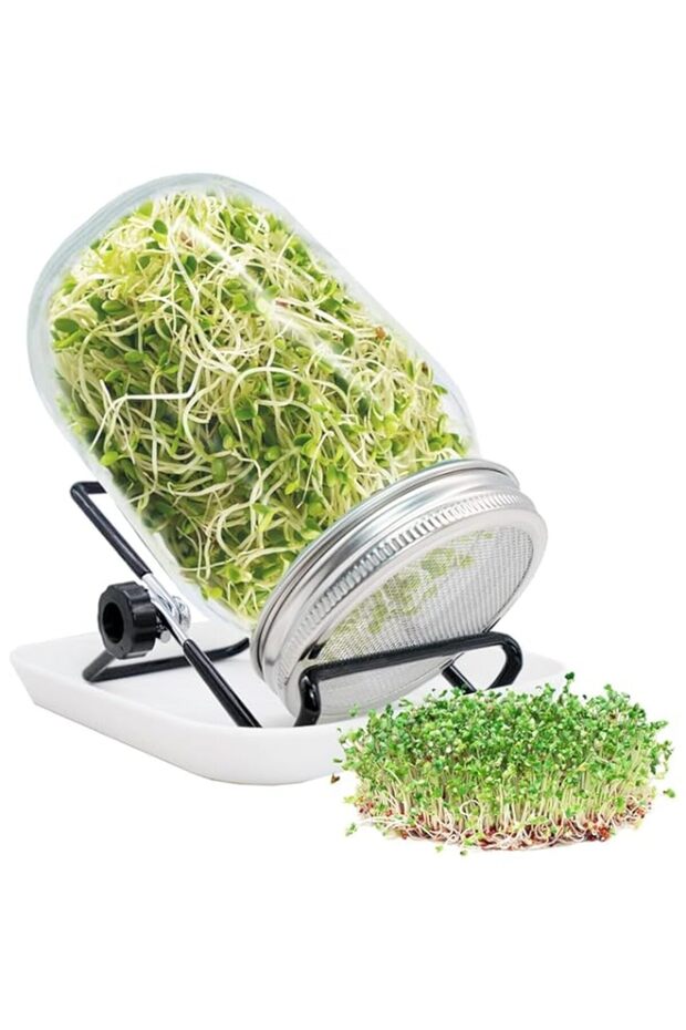 Sprouting Jar, Sprouts Growing kit, Mason Jar for Bean Sprouts Grow, Seed Sprouter Set for Growing - 1