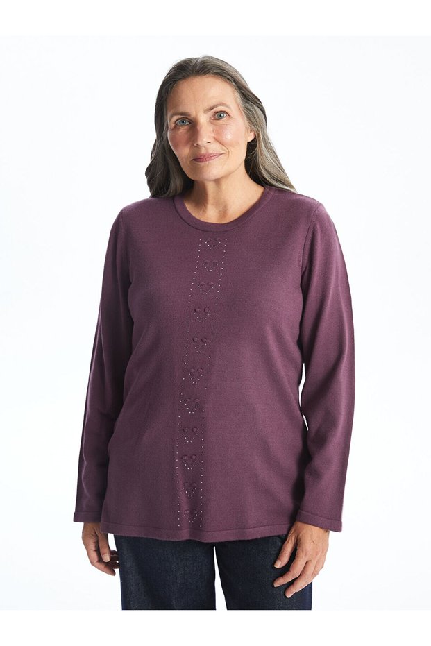 Crew Neck Embroidered Women's Knitwear Sweater - W42519Z8