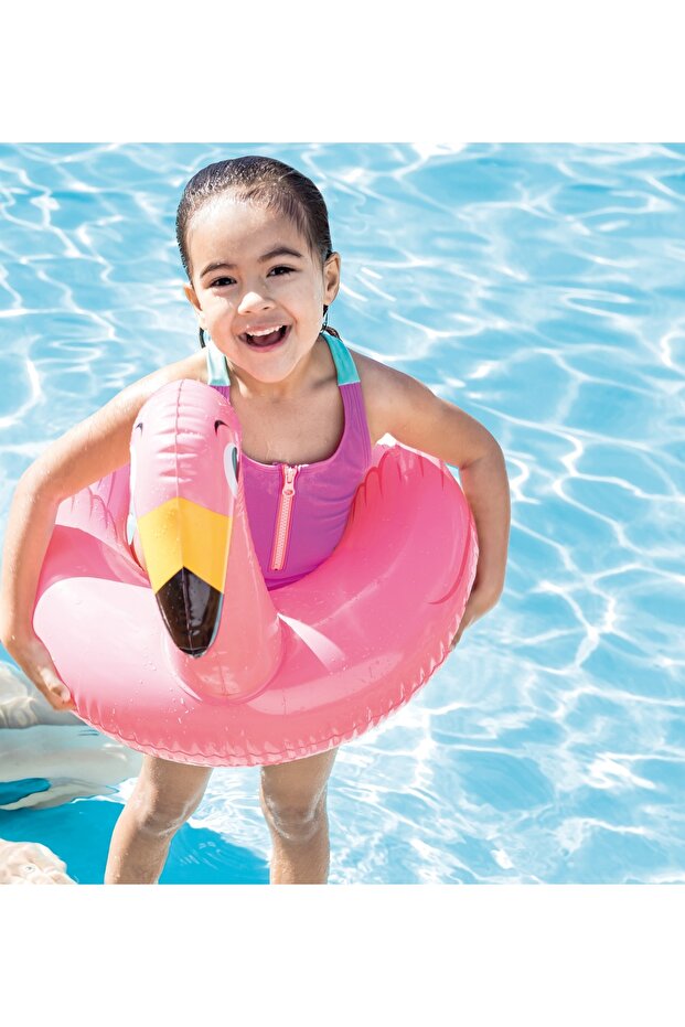 حلقات الحيوانات المنقسمة - 3