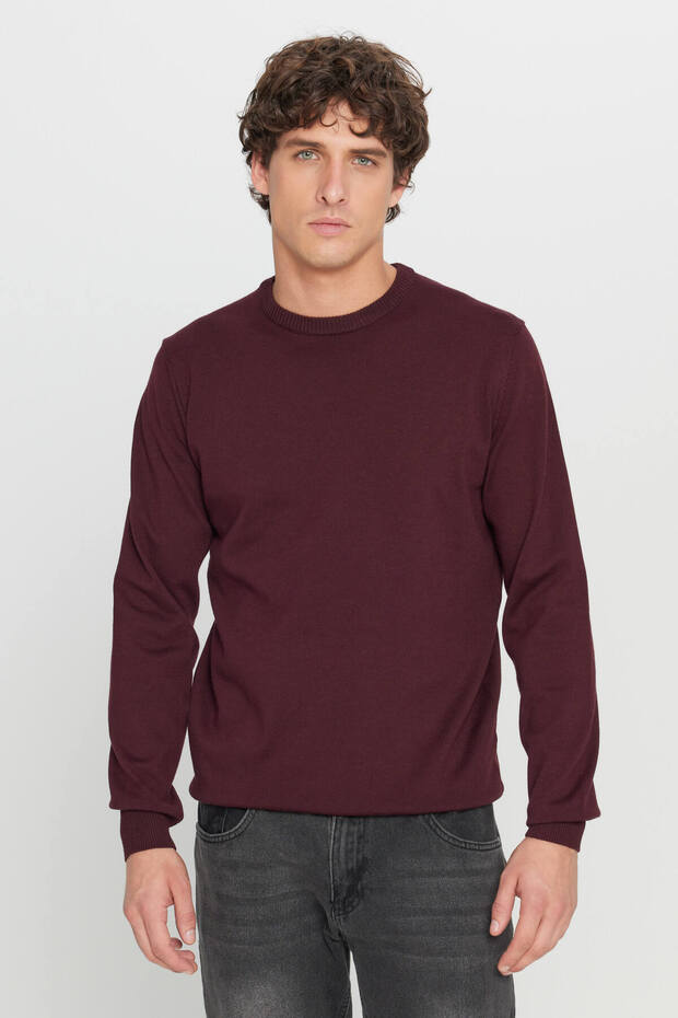 Men's Burgundy Cotton Standard Fit Regular Cut Crew Neck Knitwear Sweater