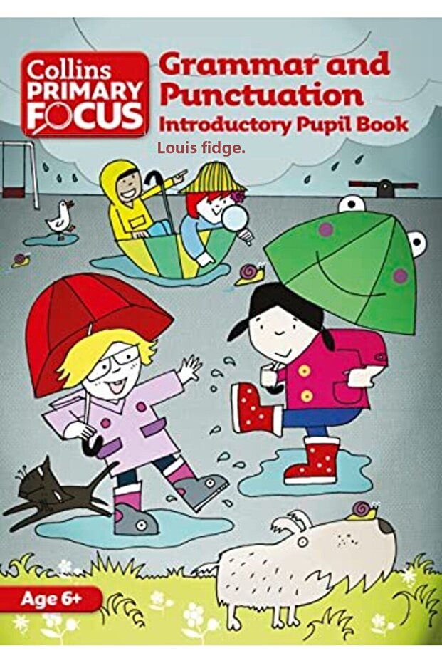 Primary Focus Grammar And Punctuation Introductory Pupil Book