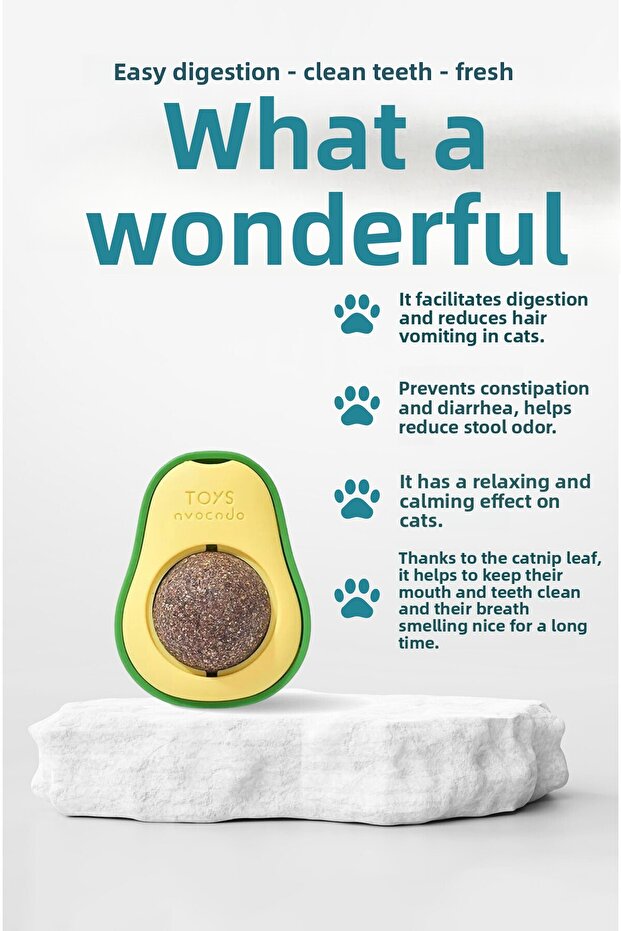 Organic Cat Grass Catnip Weed Cat Play Ball Avocado Catnip Grass Catnip Kitten Toys - 2