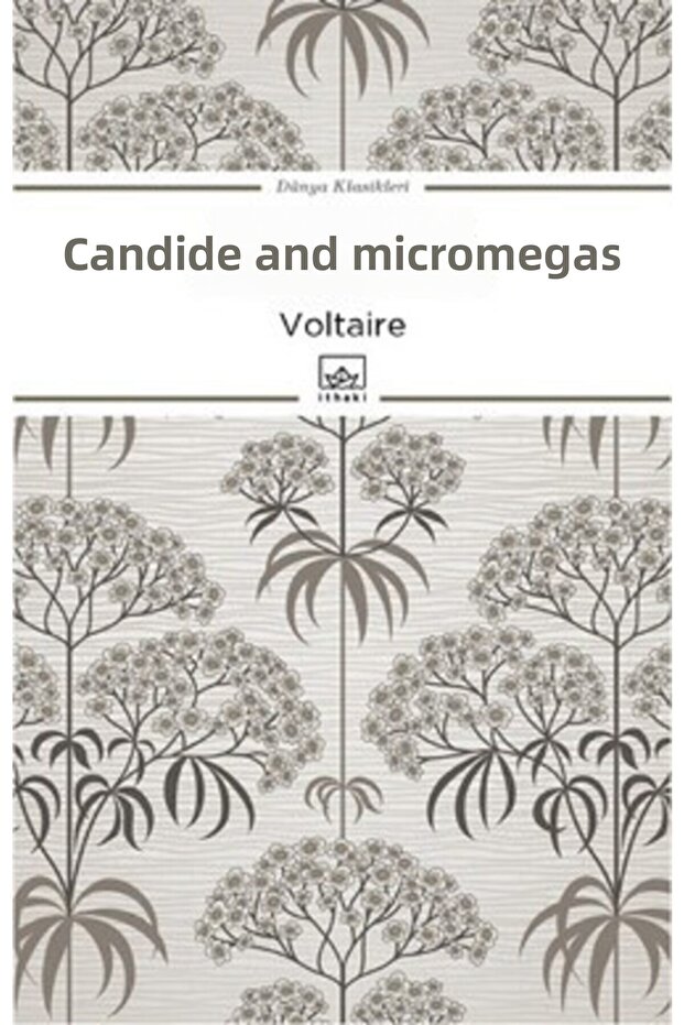 Candide Ve Micromegas