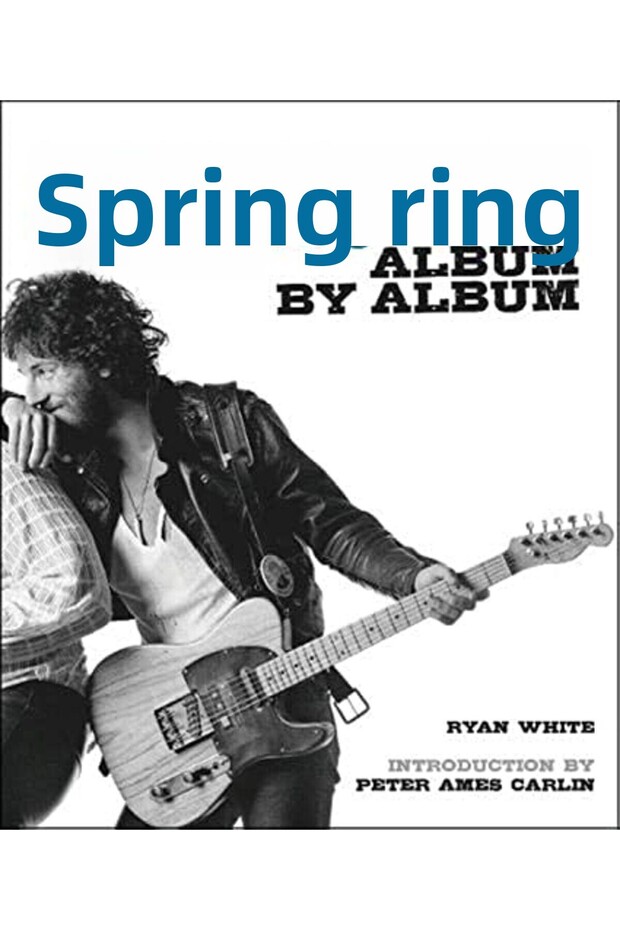 Bruce Springsteen Album By Album