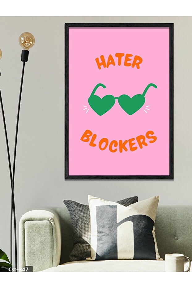 Hater Blockers One Piece Black Wooden Framed Painting