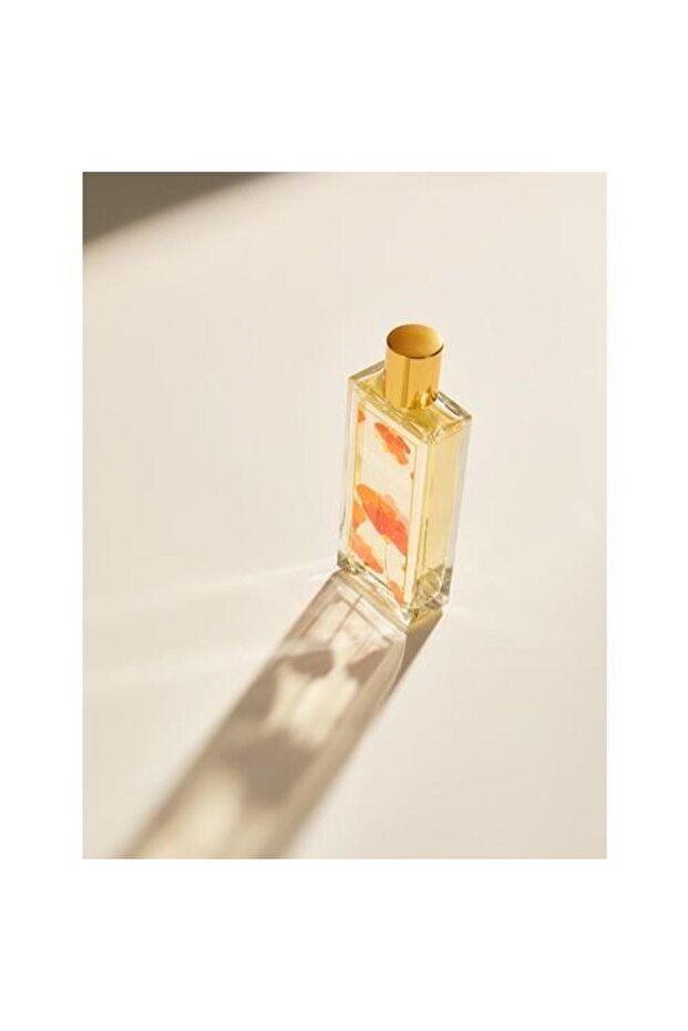 PARFUM - 1