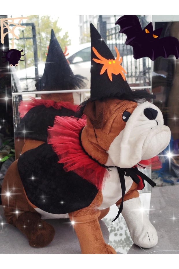 Cat &Dog Outfit Halloween Party Costume Cape Suit