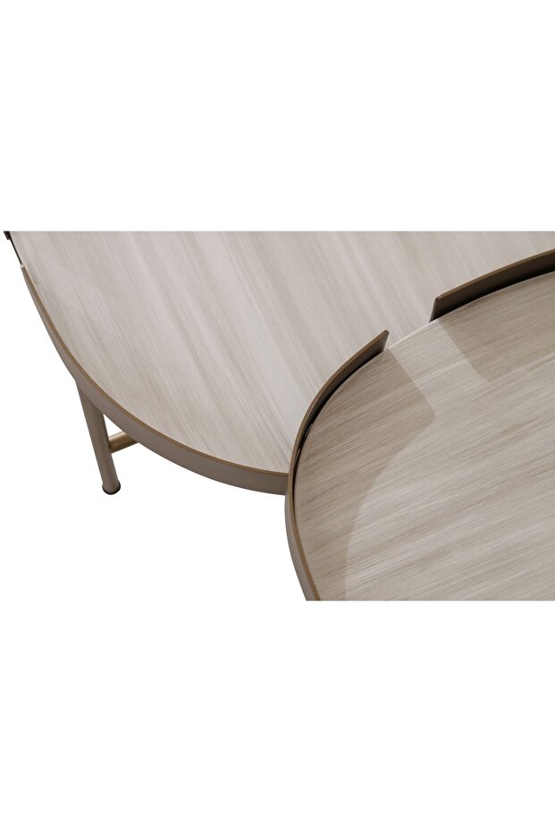 TORİ ORTA SEHPA - 3