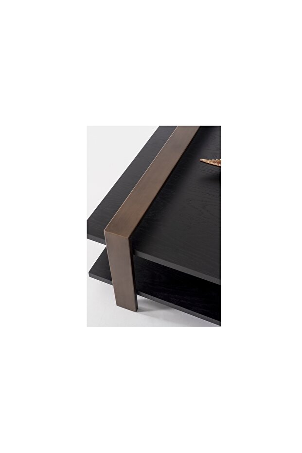 TONİA ORTA SEHPA - 2