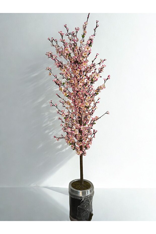 İNCE BAHAR DALI - 3