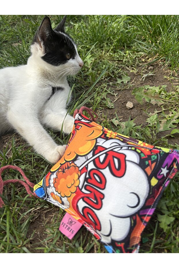 Catnip Pillow 12X12 cm (Catnip Pillow)-Cat Play Pillow - 3