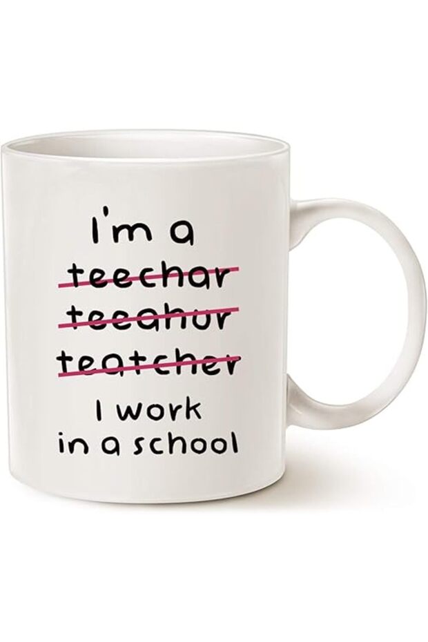 Teacher Funny Coffee Mug 11oz Motivational Inspirational Gift White Cup
