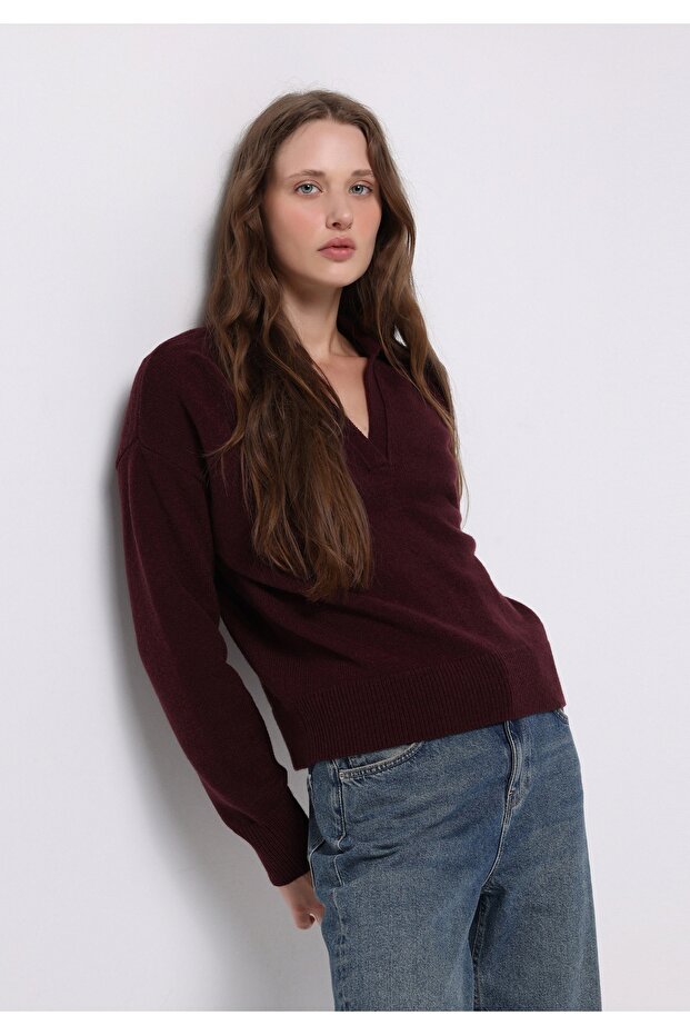 Regular Fit Polo Neck Plain Women's Purple Sweater