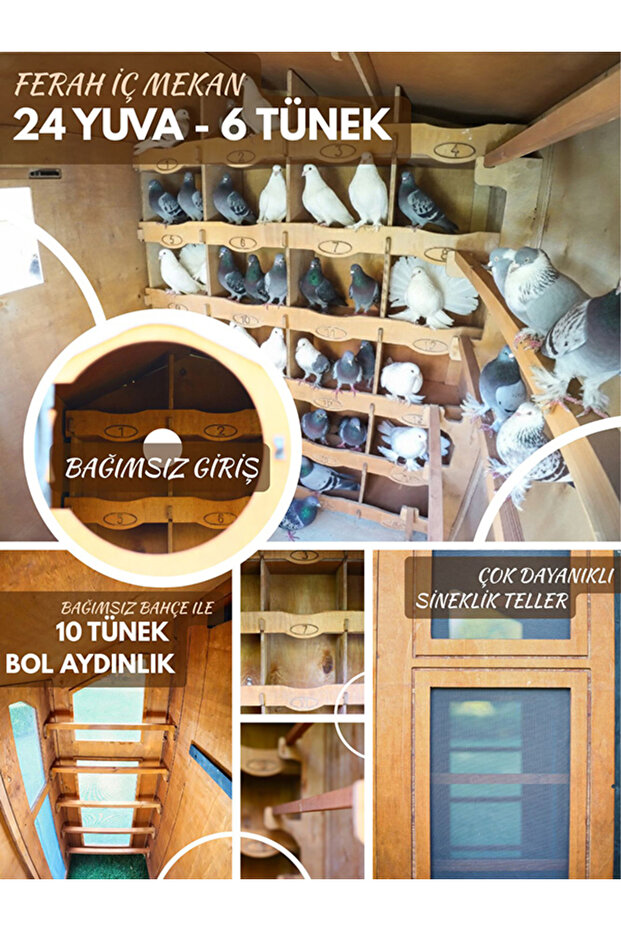 Ahşap Güvercin Kümesi - 8