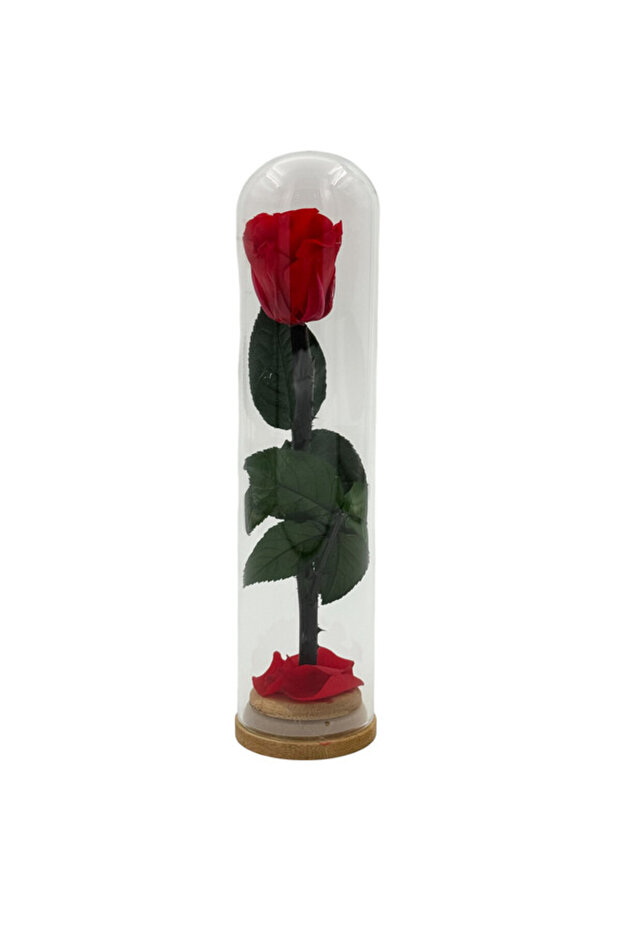 B&D Décor Flower Tube with Medium Red rose